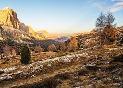 Drzewa na kamienistym wzgórzu i rozświetlone Dolomity