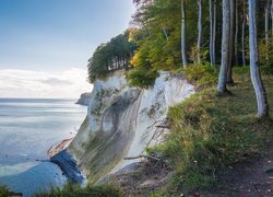 Niemcy, Wyspa Rugia, Park Narodowy Jasmund, Klif, Drzewa, Morze Bałtyckie