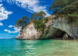 Morze, Skały, Drzewa, Jaskinia, Cathedral Cove, Region Waikato, Półwysep Coromandel, Nowa Zelandia