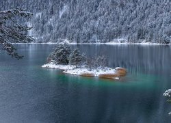 Drzewa na ośnieżonej wysepce na górskim jeziorze