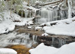 Drzewa na ośnieżonym brzegu wodospadu Wagner Falls w Michigan