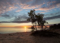 Zachód słońca, Morze, Plaża, Drzewa