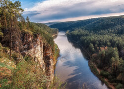 Rzeka, Wzgórza, Las, Drzewa