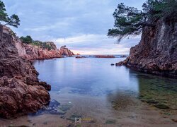 Morze Śródziemne, Wybrzeże, Skały, Drzewa, Costa Brava, Hiszpania