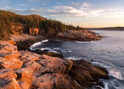 Morze, Skały, Drzewa, Park Narodowy Acadia, Stan, Maine, Stany Zjednoczone