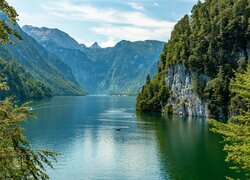 Drzewa na skałach nad górskim jeziorem Konigssee w Bawarii