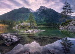 Drzewa na skałach nad jeziorem Hintersee w Alpach