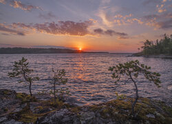 Drzewa na skałach nad jeziorem o wschodzie słońca