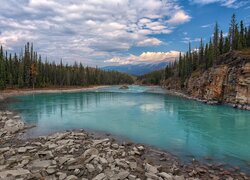 Park Narodowy Jasper, Góry, Drzewa, Las, Rzeka Athabasca, Alberta, Kanada