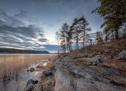 Zachód słońca, Drzewa, Trawy, Skały, Jezioro Ładoga, Zatoka Kiryavalahti, Karelia, Rosja