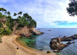 Drzewa na skałach obok plaży w hiszpańskiej gminie Calonge