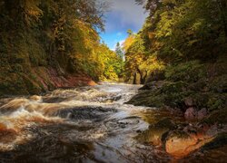 Szkocja, Edzell, River North Esk, Rwąca, Rzeka, Drzewa, Las, Jesień