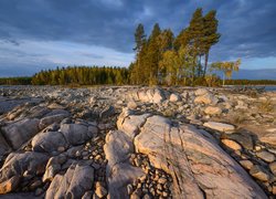 Jezioro Siegoziero, Kamienie, Skały, Drzewa, Karelia, Rosja