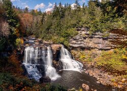 Skały, Wodospad, Blackwater Falls, Drzewa, Rośliny, Rzeka Blackwater, Wirginia, Stany Zjednoczone