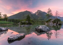 Drzewa na skałach w jeziorze Hintersee