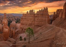 Stany Zjednoczone, Stan Utah, Park Narodowy Bryce Canyon, Skały, Roślinność, Zachód słońca, Chmury
