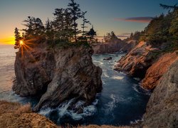 Drzewa na skałach w Parku stanowym Samuel H Boardman State Scenic Corridor w Oregonie