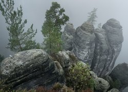 Skały, Drzewa, Mgła, Park Narodowy Saskiej Szwajcarii, Niemcy