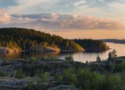 Chmury, Jezioro Ładoga, Las, Skały, Karelia, Rosja