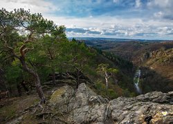 Drzewa na skale i widok na rzekę Oslava w Czechach
