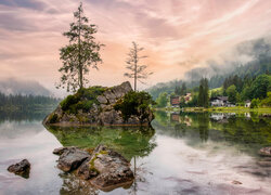 Drzewa na skale na jeziorze Hintersee w Bawarii