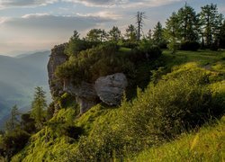 Drzewa na szczycie skały nad zamgloną doliną w górach