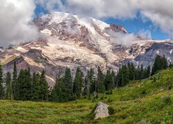 Drzewa na tle chmur nad statowulkanem Mount Rainier