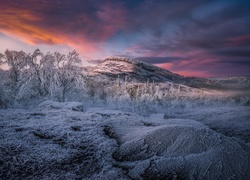 Drzewa na tle gór w południowej Norwegii zimą