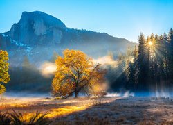 Stany Zjednoczone, Kalifornia, Park Narodowy Yosemite, Góra Half Dome, Jesień, Góry, Drzewa, Mgła