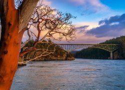 Stany Zjednoczone, Waszyngton, Most, Deception Pass Bridge, Cieśnina, Deception Pass, Las, Drzewa, Chmury