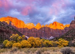 Góry, Drzewa, Jesień, Chmury, Park Narodowy Zion, Utah, Stany Zjednoczone