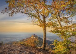 Drzewa na tle Zamku Hohenzollern w Niemczech