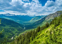 Góry Skaliste, Las, Drzewa, Dolina, Chmury, Park Narodowy Glacier, Montana, Stany Zjednoczone