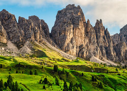 Drzewa na zielonej polanie u podnóża włoskich Dolomitów