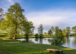 Chorwacja, Żupania Zagrzebska, Jezioro Bobovica, Drzewa, Zieleń, Trawa