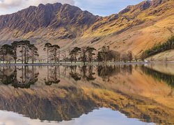 Góry, Jezioro, Buttermere Lake, Drzewa, Odbicie, Kumbria, Anglia