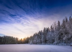 Finlandia, Prowincja Häme, Zamarznięte, Jezioro Kahtoilampi, Zima, Las, Drzewa