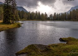 Jezioro, Lago di San Pellegrino, Drzewa, Trydent, Włochy