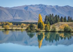 Drzewa nad jeziorem Lake Ruataniwha w Nowej Zelandii