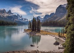 Drzewa nad jeziorem Maligne Lake