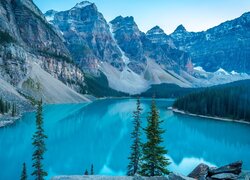 Drzewa nad jeziorem Moraine Lake i Góry Skaliste w Parku Narodowym Banff