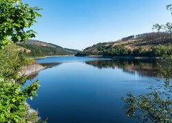 Jezioro, Okerstausee, Wzgórza, Drzewa, Gałęzie, Okertalsperre, Niemcy