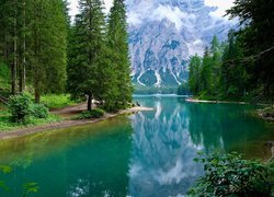 Włochy, Południowy Tyrol, Jezioro, Pragser Wildsee, Góry, Drzewa, Mgła, Odbicie