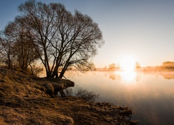 Wschód słońca, Jezioro, Drzewa