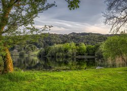 Drzewa nad jeziorem wiosenną porą