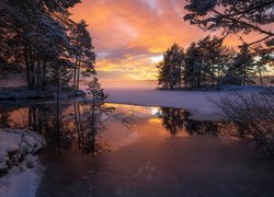 Zima, Śnieg, Lód, Jezioro, Drzewa, Zachód słońca, Ringerike, Norwegia