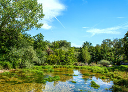 Chorwacja, Rzeka Cetina, Lato, Drzewa