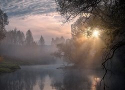 Wschód słońca, Przebijające światło, Mgła, Rzeka Istra, Drzewa, Obwód moskiewski, Rosja