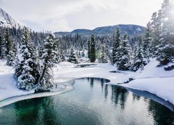 Kanada, Prowincja Alberta, Park Narodowy Banff, Rezerwat Ink Pots, Rzeka, Johnston Creek, Góry, Drzewa, Lasy, Zima