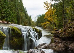 Stany Zjednoczone, Waszyngton, Rzeka, Lewis River, Skały, Kamienie, Las, Drzewa